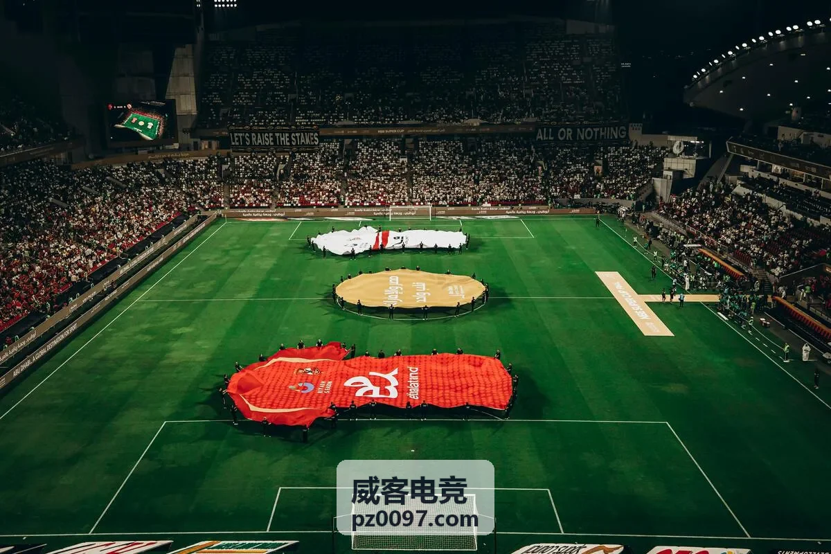 威客电竞春季赛